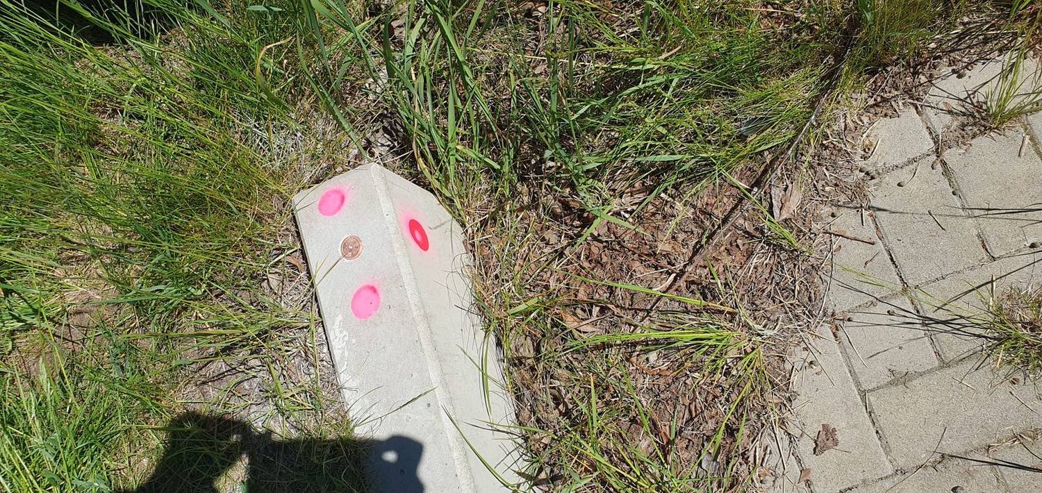 Vermessungspunkt im Gelände, Aufnahme vor Ort mit farbiger Markierung