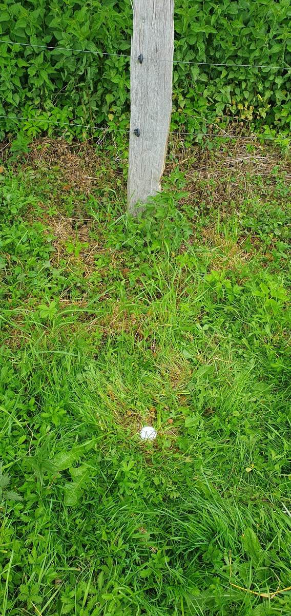 Absteckungspunkt im Gelände an einem Weidezaun